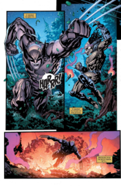 Predator vs. Wolverine    4
