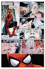 Spider-Man: Shadow of the Green Goblin    4
