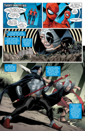 Spider-Verse vs Venomverse    4