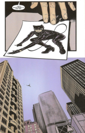 Catwoman (2018-)    6