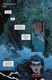 Absolute Wonder Woman   22