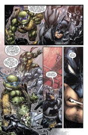 Batman/ Teenage Mutant Ninja Turtles III    5