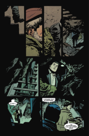 Batman & Robin: Year One   11