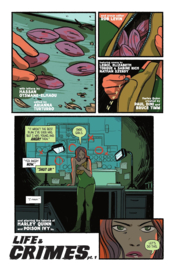 Harley & Ivy: Life and Crimes    1