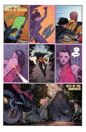 Batgirl (2024-)    5