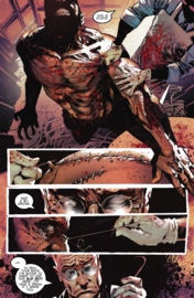 King Spawn   36