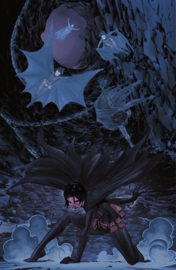Batgirl (2024-)    5