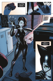 Batman: One Bad Day - Catwoman