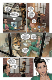 Cheetah & Cheshire: Rob the Justice League    2