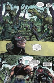Batman & Robin (2023-)   13
