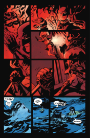 Batman & Robin: Year One    4