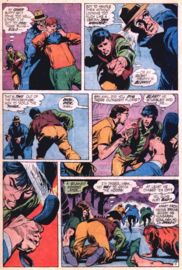 Batman (1940-2011)  237