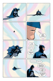 Batman Universe (2019-2020)    6