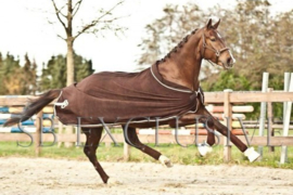 Luxe wollen paarden statiedeken, 800 grams vulling, donker bruin