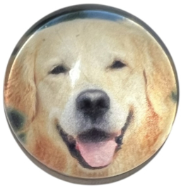 Glas cabochon 20mm: golden retriever