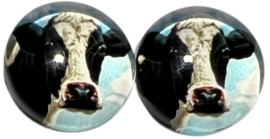 Glas flatback cabochon 12mm koe, per 2 stuks