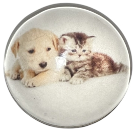 Glas cabochon 25mm: pup en kitten