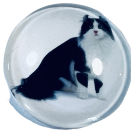 Glas cabochon 25 mm: poes