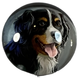 Glascabochon 20mm, hond