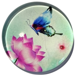 Glas cabochon 25mm: mint met bloem en vlinder