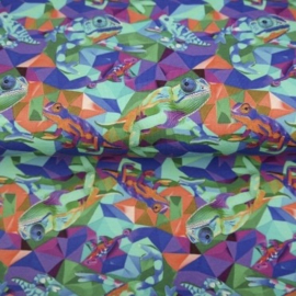 Tricot: Funky chameleon (Stenzo), per 25 cm