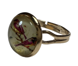 Verstelbare ring dia 17 mm light gold, setting 12 mm.