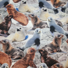 Digitale print tricot: SEALS, per 25 cm