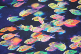 Soft shell digital print: neon fish (qjutie) per 25 cm