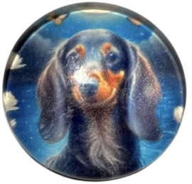 Glas cabochon 20mm: teckel