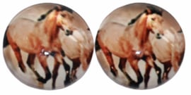 12 mm glascabochon paarden per 2 stuks