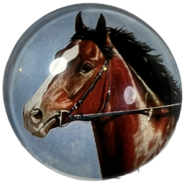 Glas cabochon 25mm: paard