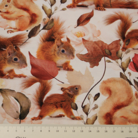 Digitale print tricot: SQUIRREL, per 25 cm