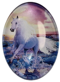 Glas cabochon unicorn 18 x 25 mm