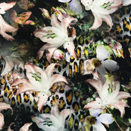 Digitale print tricot : Flowers Ochre, per 25 cm