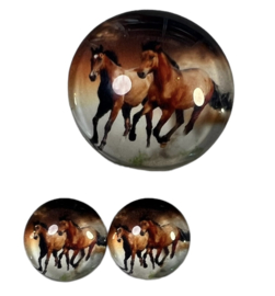 Glas cabochon 25mm: bruine paarden in galop