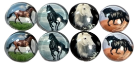 Glas cabochons 12 mm horses: 8 stuks