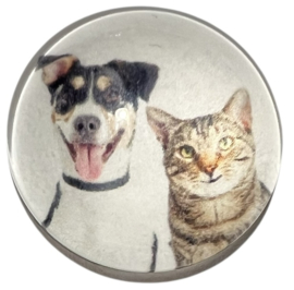Glas cabochon 20mm: poes en hond