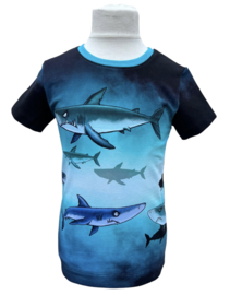 Shirt: Haai! 122-164
