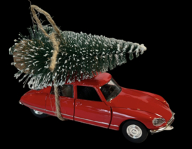 Auto met kerstboom; Citroën DS23 1973