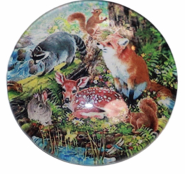 Glas cabochon 25mm: wild animals in the woods