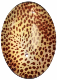 Glas cabochon dierenprint 8 x 25 mm