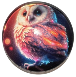 Glas cabochon 25mm: Uil