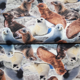 Digitale print tricot: SEALS, per 25 cm