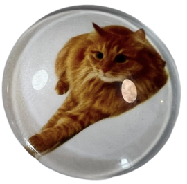 Glas cabochon 25 mm: poes