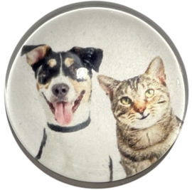 Glas cabochon 25mm: poes en hond