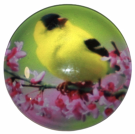 Glas cabochon 25mm: vogel op tak