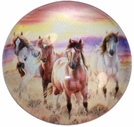 Glas cabochon 25mm: Paarden