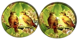 Glas flatback cabochon 12mm vogels op groen, per 2 stuks
