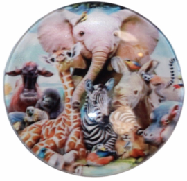 Glas cabochon 25mm: wild animals