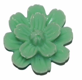 Flatback bloem  22 mm mint